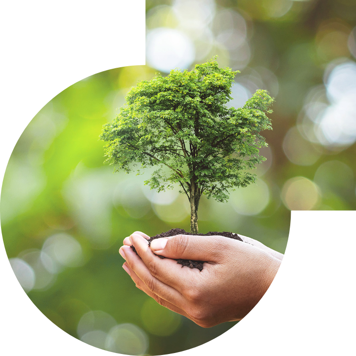 关怀人类、文化、环境与社会